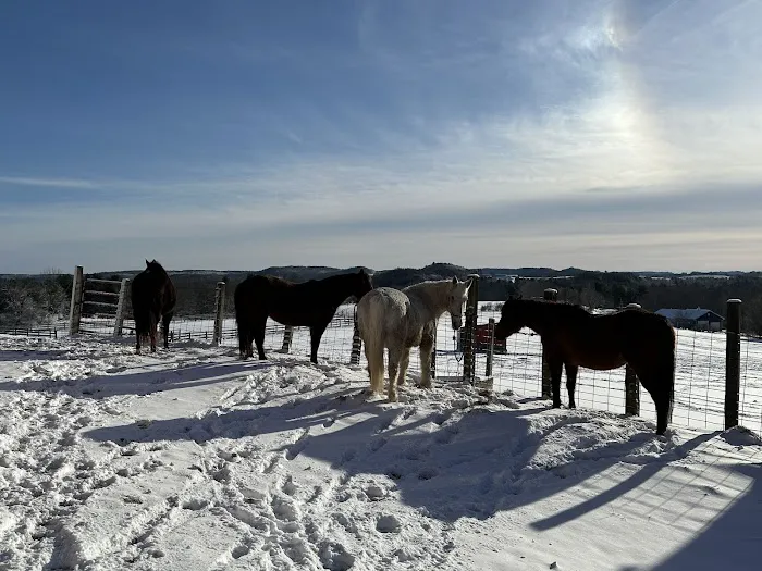 Dells Equine Veterinary Service Picture 2