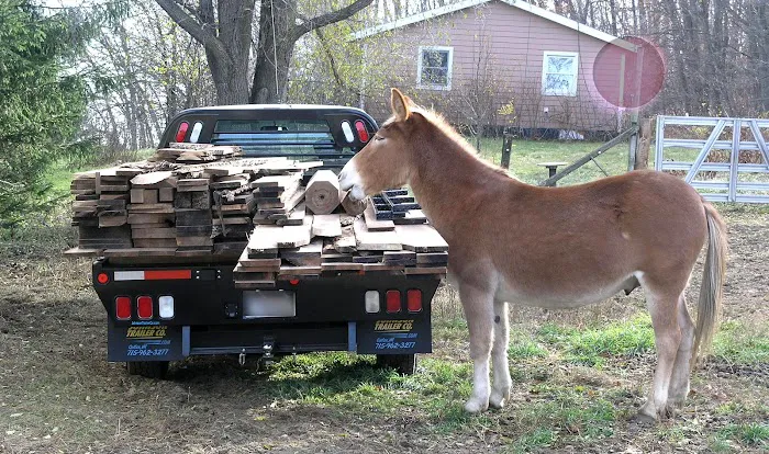 Dells Equine Veterinary Service Picture 4