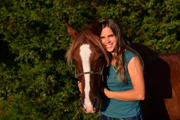 Dells Equine Veterinary Service Picture 5
