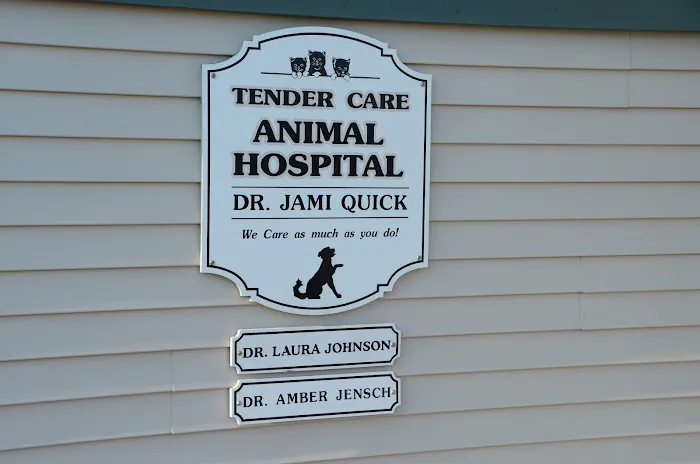 Tender Care Animal Hospital LLC Picture 3