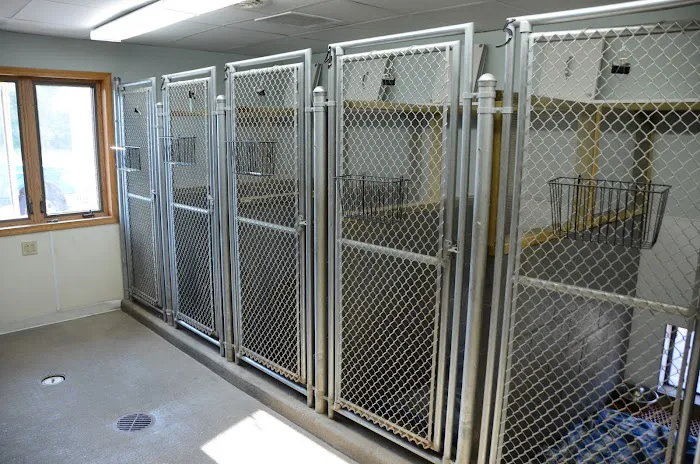 Tender Care Animal Hospital LLC Picture 2