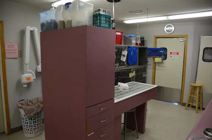Tender Care Animal Hospital LLC Picture 7