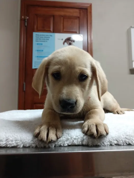 Barnesville Animal Clinic Picture 8