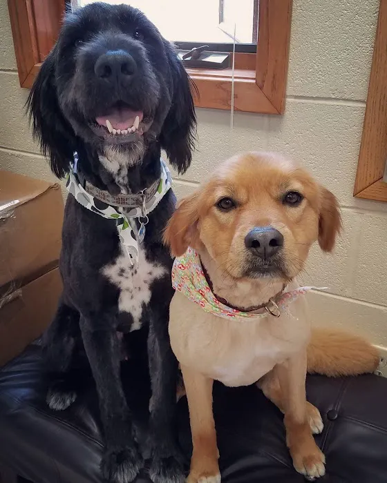 Grand Haven Animal Hospital Picture 1