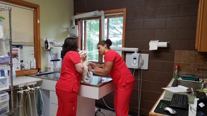 Grand Haven Animal Hospital Picture 10