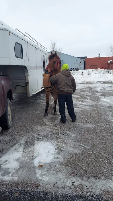 West Michigan Veterinary Service Picture 3