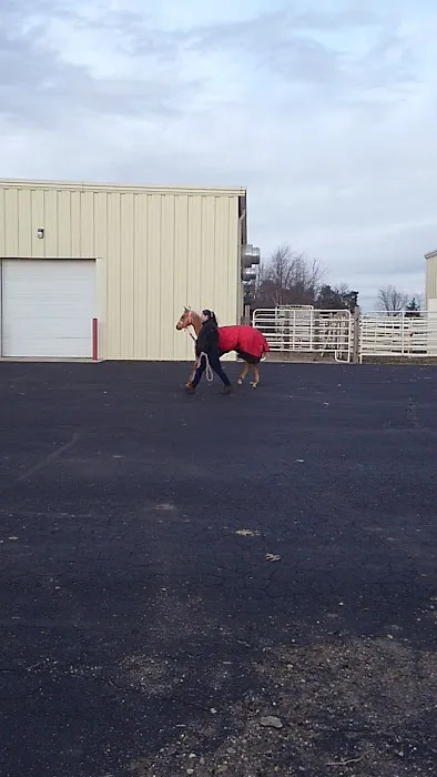 West Michigan Veterinary Service Picture 1
