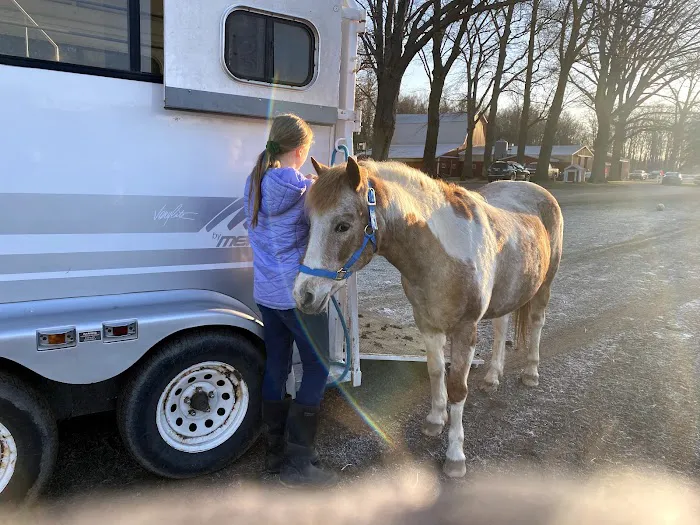 West Michigan Veterinary Service Picture 7