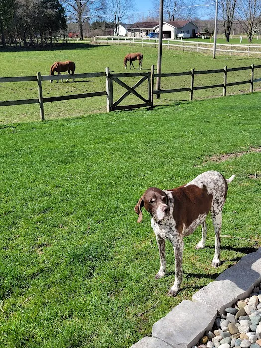 West Michigan Veterinary Service Picture 9