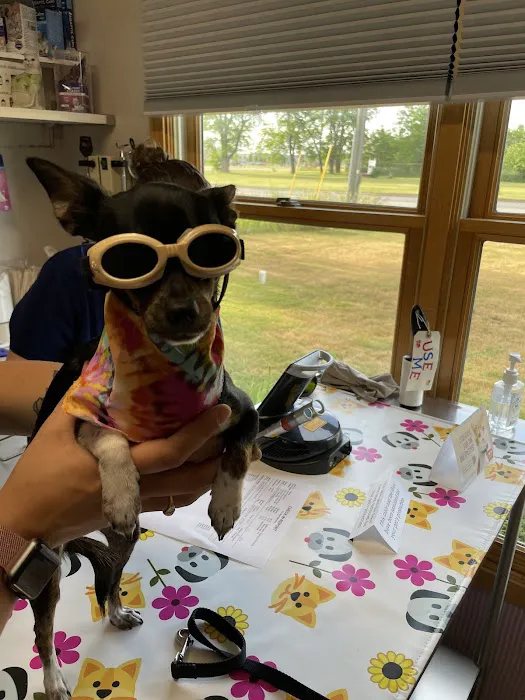 Parkdale Veterinary Wellness Center Picture 5