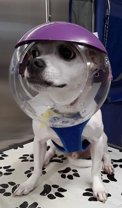 Parkdale Veterinary Wellness Center Picture 10