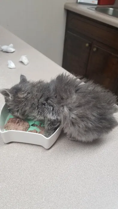 Burke County Animal Hospital Picture 7
