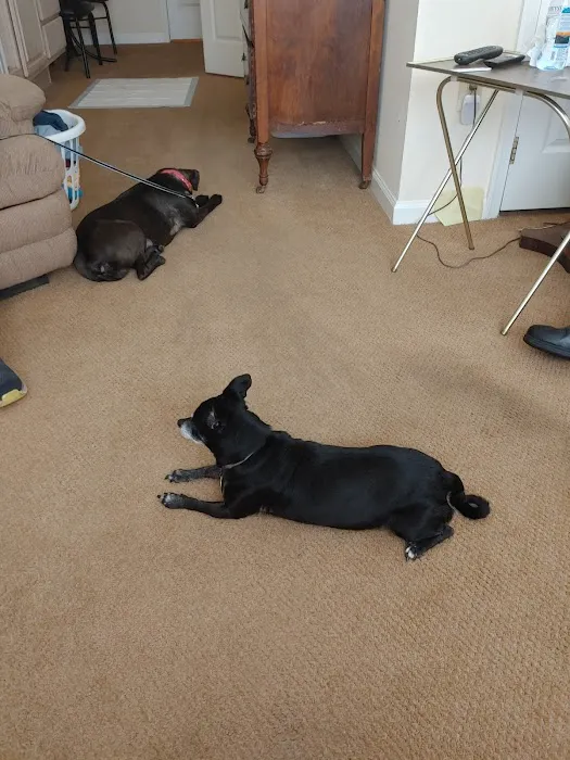 Burke County Animal Hospital Picture 9