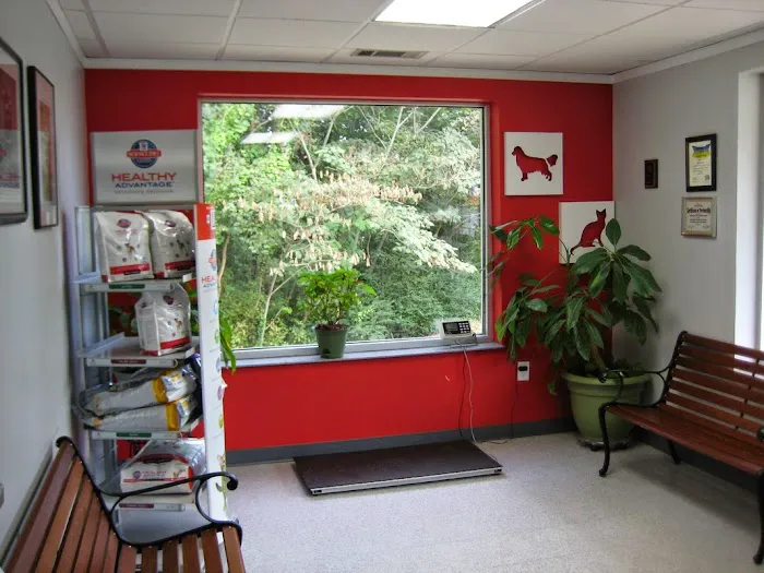 Snapfinger Creek Animal Hospital Picture 4