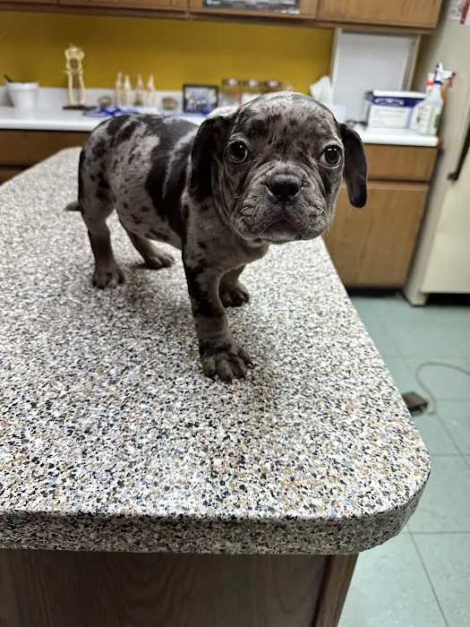 Coral Sands Animal Hospital Picture 8