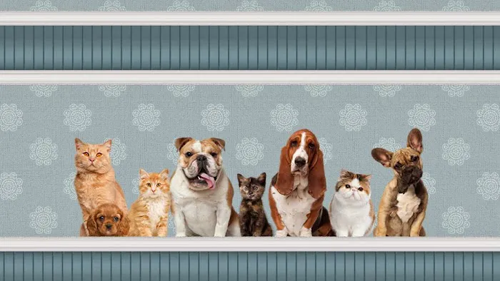East Lake Veterinary Hospital Picture 8