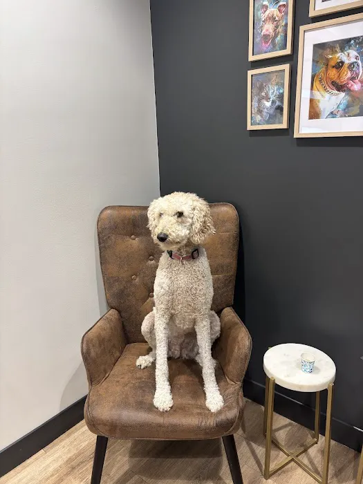The Healthy Pet Veterinary Clinic Picture 6