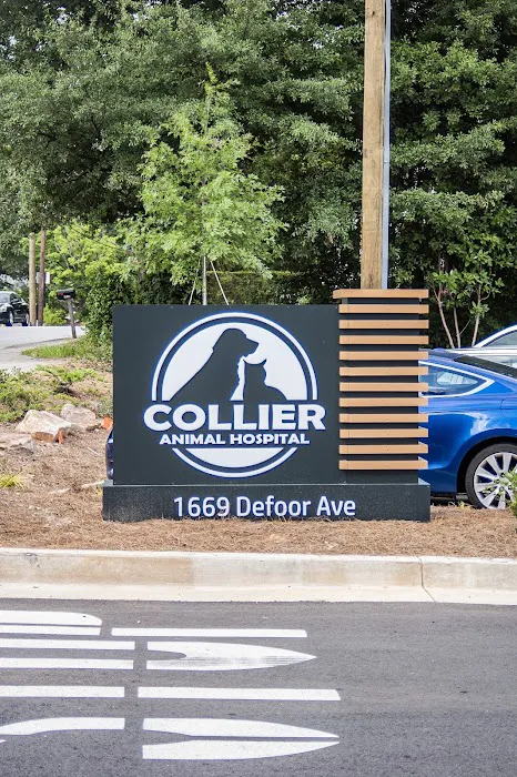Collier Animal Hospital Picture 9