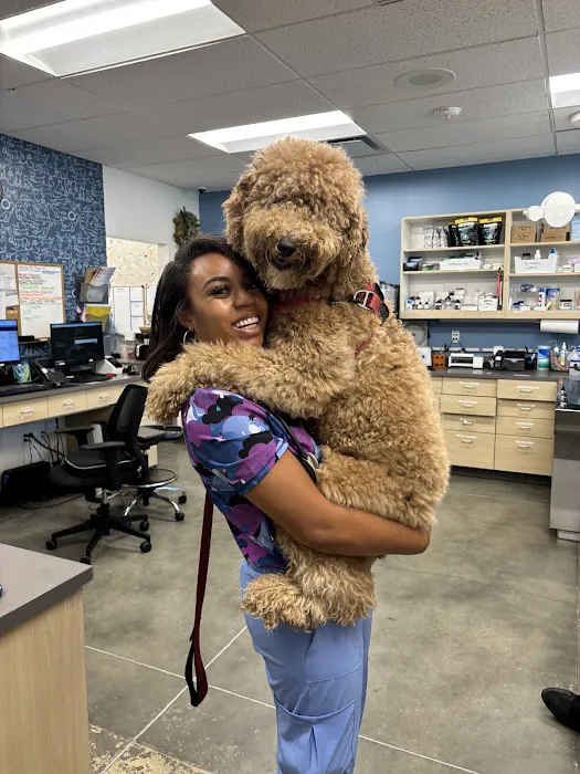 Thrive Pet Healthcare - Midtown Picture 5