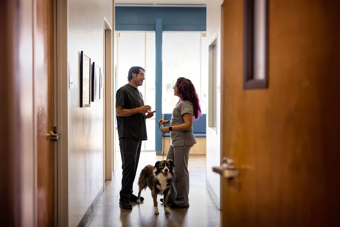 Thrive Pet Healthcare - Midtown Picture 4