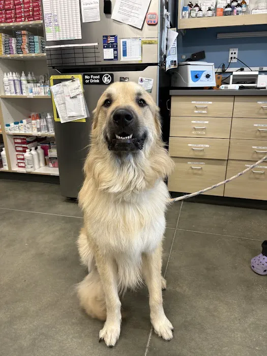 Thrive Pet Healthcare - Midtown Picture 6