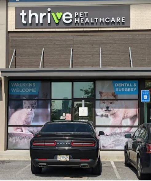 Thrive Pet Healthcare - Midtown Picture 10