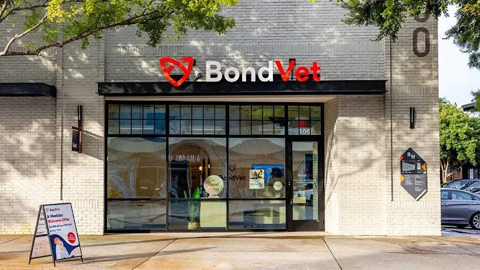 Bond Vet - West Midtown Picture 3