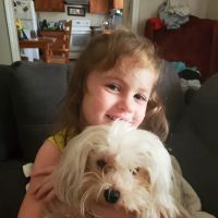 Villa Rica Animal Hospital ico