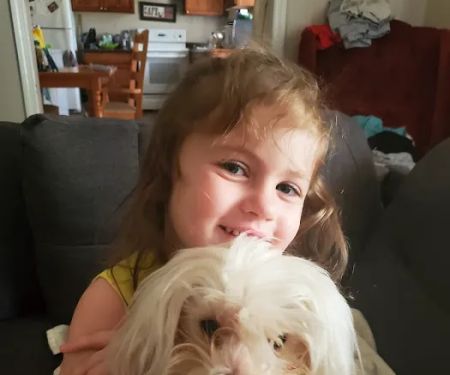 Villa Rica Animal Hospital