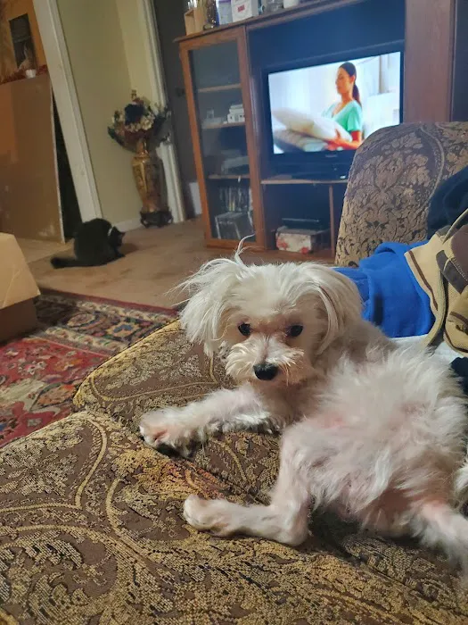 Villa Rica Animal Hospital Picture 7
