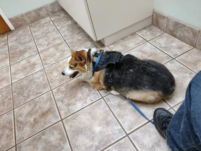Villa Rica Animal Hospital Picture 3