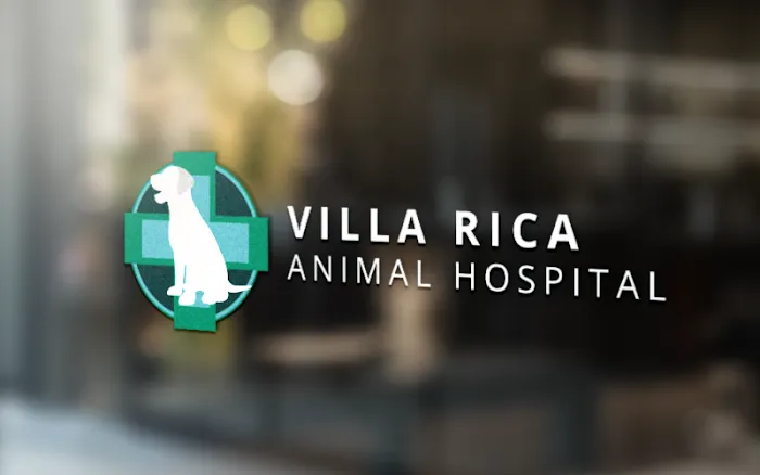 Villa Rica Animal Hospital Picture 10