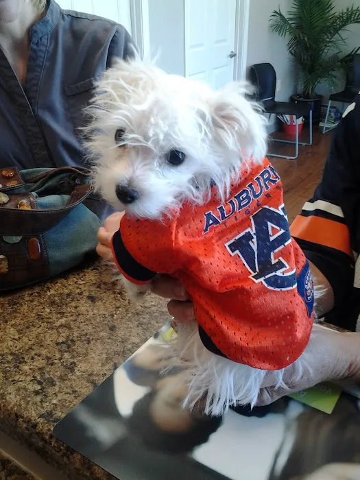 Mirror Lake Animal Hospital Picture 1