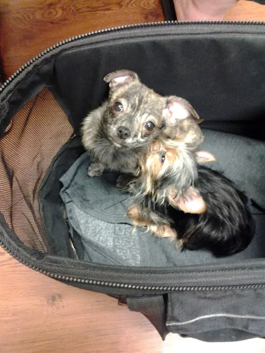 Mirror Lake Animal Hospital Picture 8