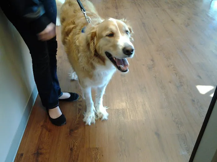 Mirror Lake Animal Hospital Picture 3