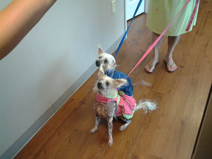 Mirror Lake Animal Hospital Picture 9