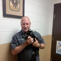 Atlanta West Veterinary Hospital ico