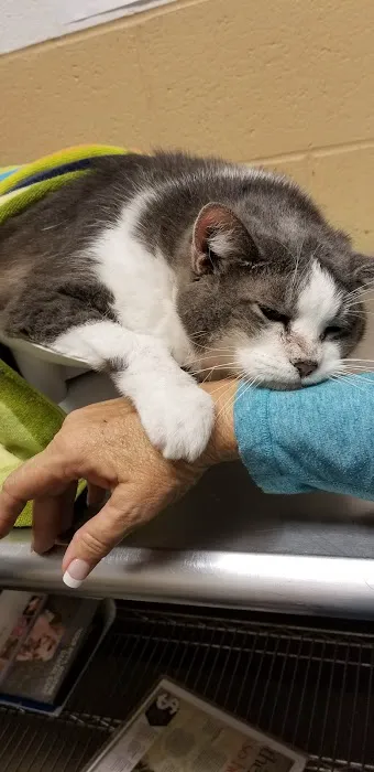 Atlanta West Veterinary Hospital Picture 6