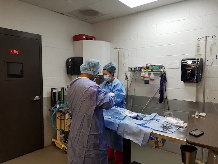 Atlanta West Veterinary Hospital Picture 10