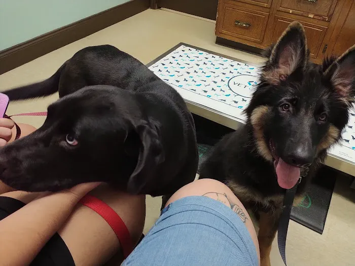 Douglas Oaks Animal Hospital Picture 1