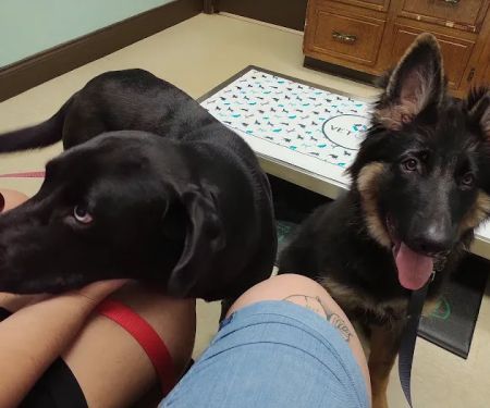 Douglas Oaks Animal Hospital