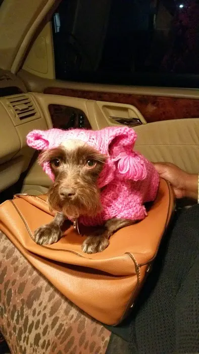 Douglas Oaks Animal Hospital Picture 6