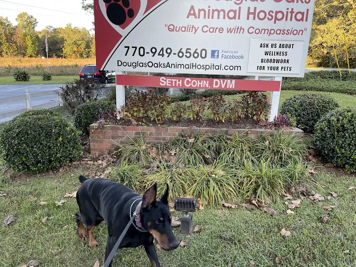 Douglas Oaks Animal Hospital Picture 8