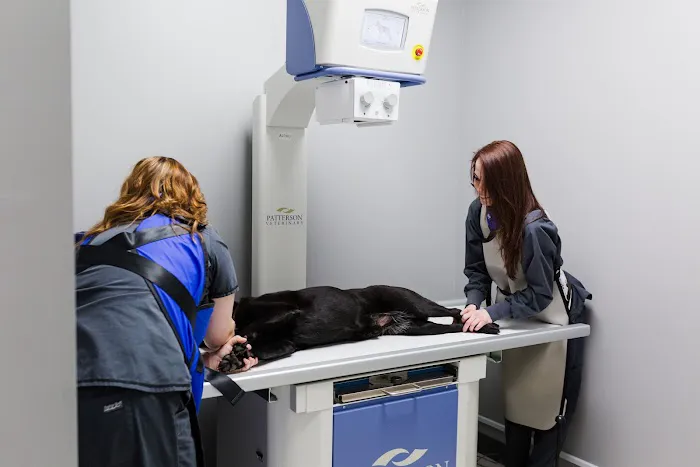 Common Companion Vet Co. Picture 3