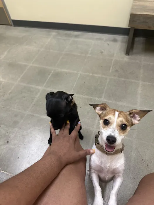 Vetco Total Care Animal Hospital Picture 1