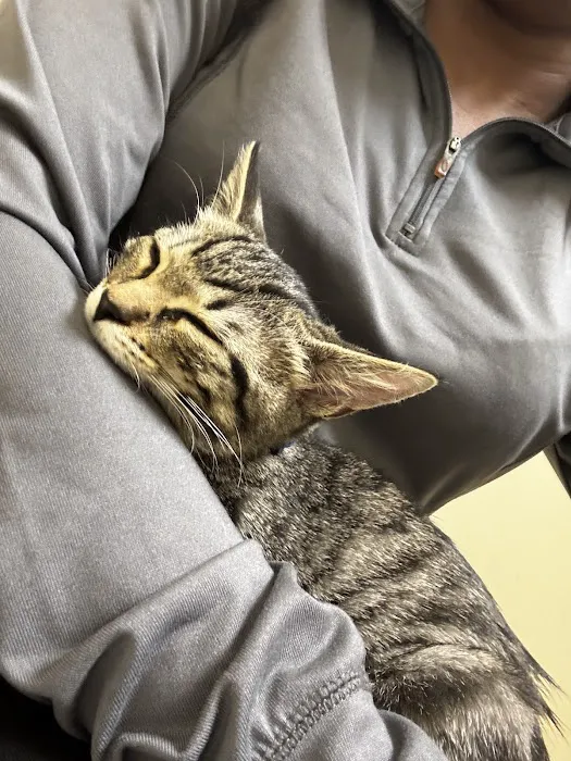 Vetco Total Care Animal Hospital Picture 5