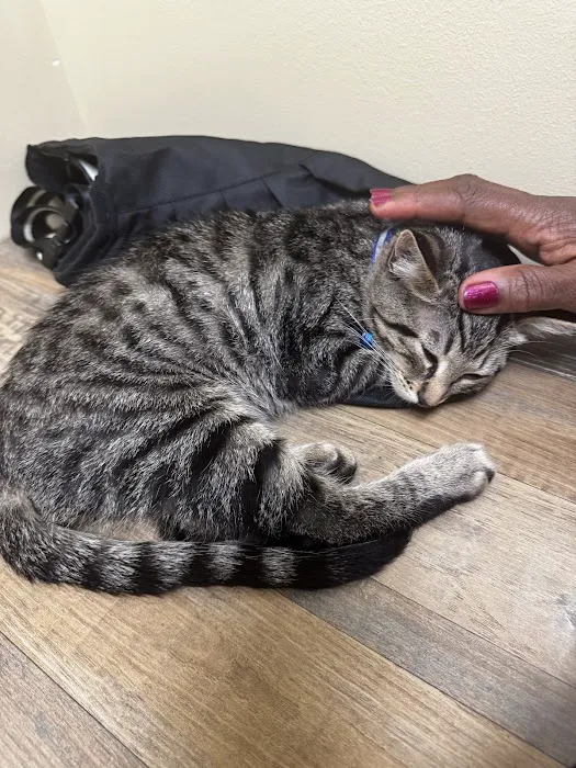 Vetco Total Care Animal Hospital Picture 7