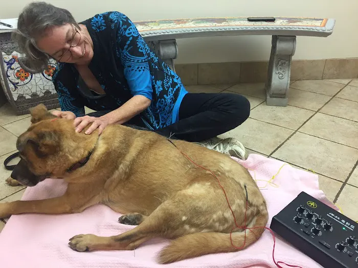 Inman Park Animal Hospital Picture 1