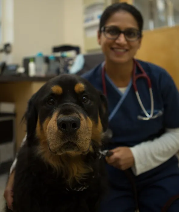 Inman Park Animal Hospital Picture 5