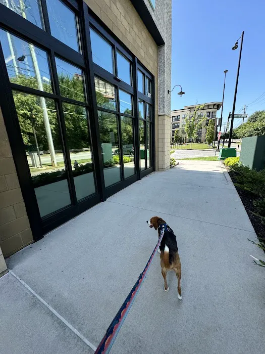 Common Companion Vet Co. Picture 6